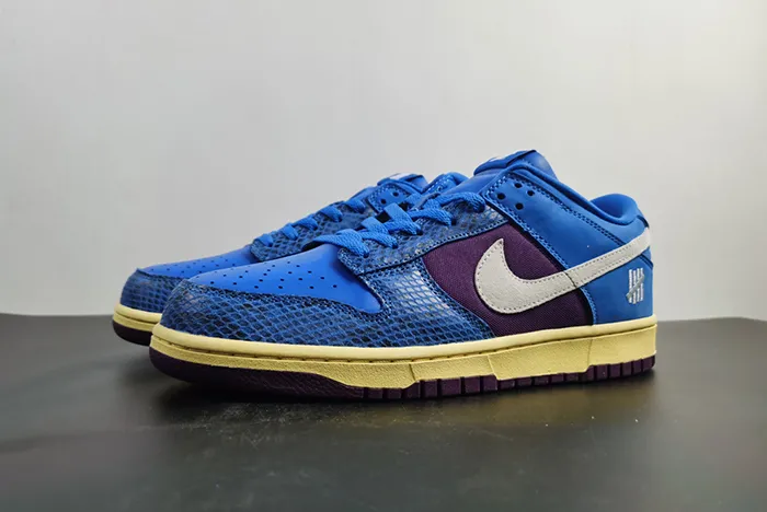 Nike Dunk Low DH6508-400
